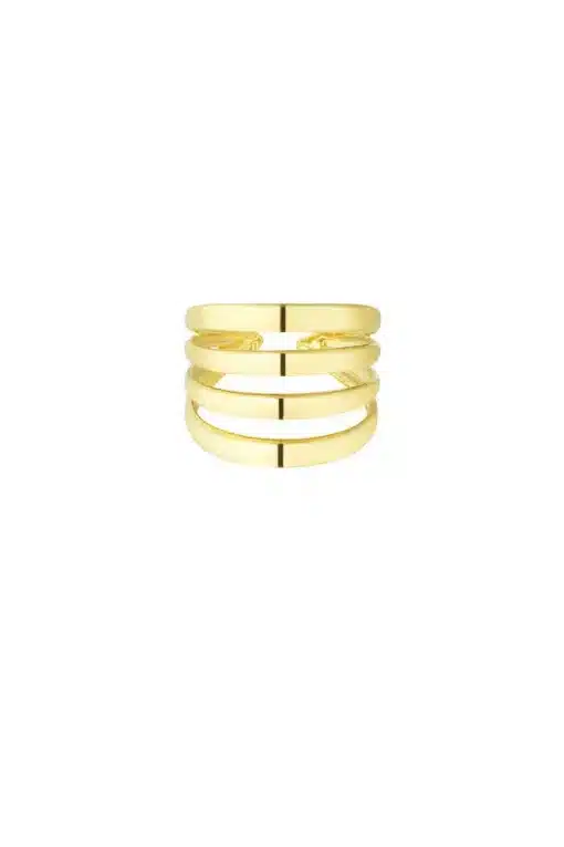 Goldfarbener Ring mit vier Ringen vor weißem Hintergrund.