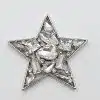 Die Heard Magnet Brosche (Kopie) ist eine sternförmige Brosche, die an eine Brosche erinnert und mit verschieden geformten klaren Edelsteinen auf weißem Hintergrund verziert ist. Das Design zeichnet sich durch symmetrisch angeordnete ovale, rechteckige und runde Steine innerhalb der Sternkontur aus.